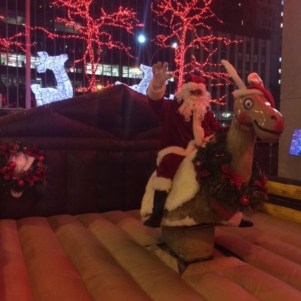 Mechanical Reindeer Rental NY, NYC, NJ, CT, Long Island