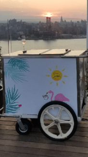 Ice Cream Cart Rental NY, NYC, NJ, CT, Long Island