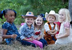 Horse Drawn Hay Rides