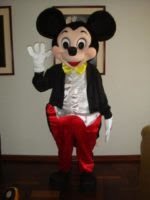Mouse Costume character Ny, NYC, NJ, CT, Long Island