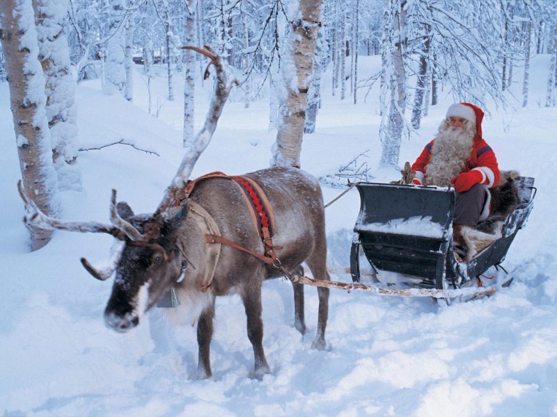 Live Reindeer Rental NY, NYC, CT, Long Island