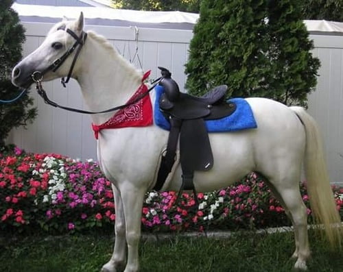 Unicorn Party Long Island